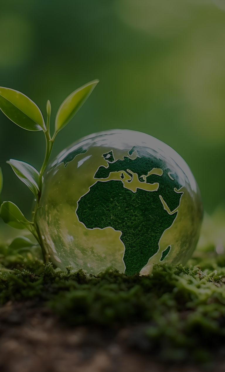 In-Synq Solutions
